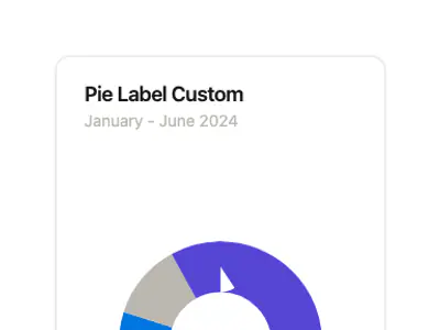 Chart Pie Label Custom preview